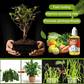 💥Cumpără 1 și primești 2 gratis🌿Supliment pentru stimularea creșterii plantelor🌈