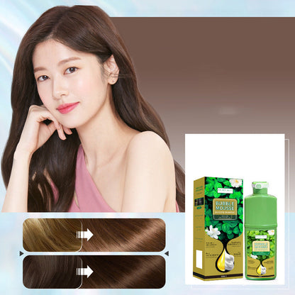 🏆 💇‍♀️Long‑Lasting Plant‑Based Foam Hair Dye｜Ammonia‑Free Easy DIY At‑Home Foam Hair Color