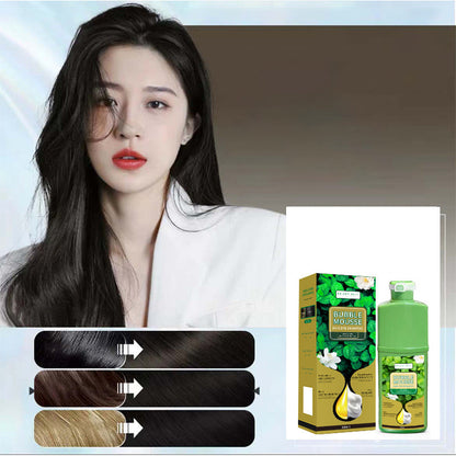 🏆 💇‍♀️Long‑Lasting Plant‑Based Foam Hair Dye｜Ammonia‑Free Easy DIY At‑Home Foam Hair Color