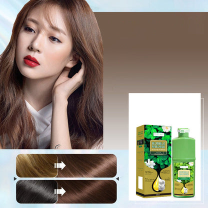 🏆 💇‍♀️Long‑Lasting Plant‑Based Foam Hair Dye｜Ammonia‑Free Easy DIY At‑Home Foam Hair Color