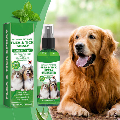🐶🐱 Spray natural împotriva puricilor și căpușelor – Protejează-ți animalele de companie în mod sigur și eficient 🌿✨
