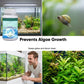 🐠✨Tablete efervescente pentru acvariu – apă cristalină, fără miros, curățare rapidă💧