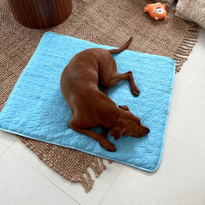 🐶 Подложка за охлаждане за кучета – 4 пъти по-ефективно охлаждане за горещи летни дни ❄️✨