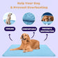 🐶 Подложка за охлаждане за кучета – 4 пъти по-ефективно охлаждане за горещи летни дни ❄️✨